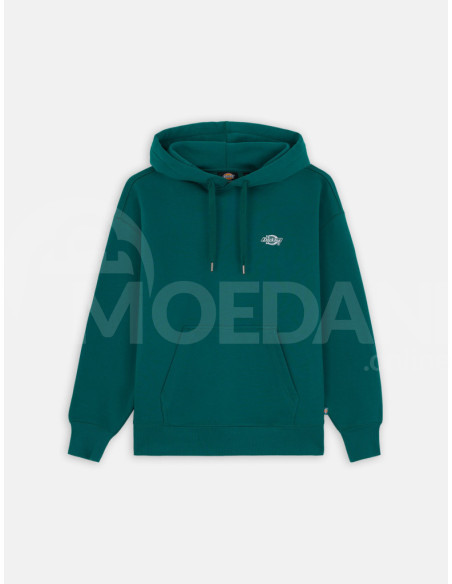 Dickies - SUMMERDALE HOODIE AVENTURINE Tbilisi - photo 4