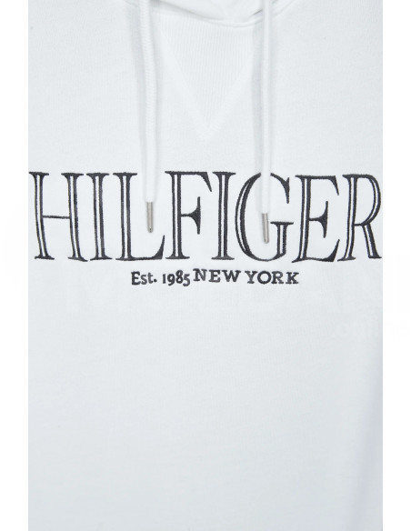 Tommy Hilfiger - REG MDN HILFIGER HOODIE თბილისი - photo 3