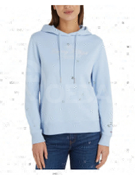 Tommy Hilfiger - REGULAR HILFIGER SCRIPT HOODIE თბილისი - photo 1
