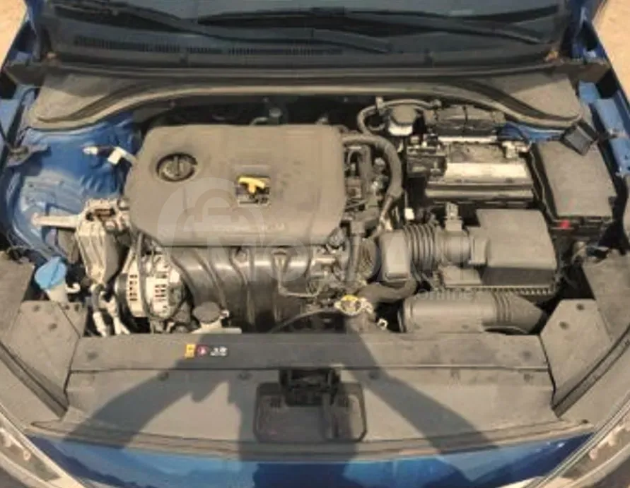 Hyundai Elantra 2020 Tbilisi - photo 11