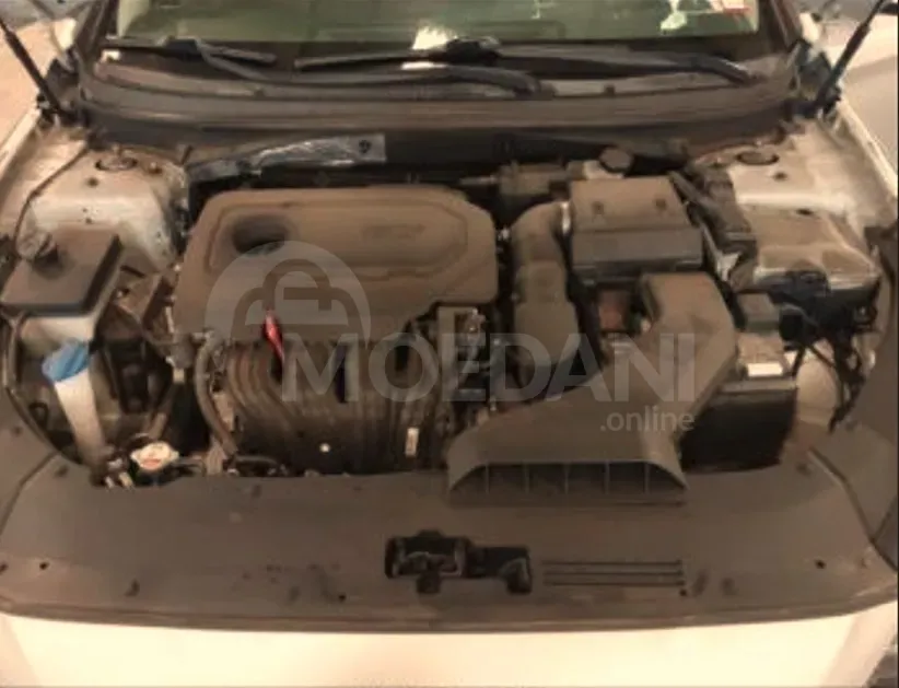 Hyundai Elantra 2019 Tbilisi - photo 10