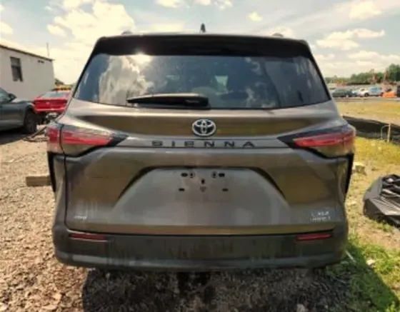 Toyota Sienna 2.5L 2022 Тбилиси