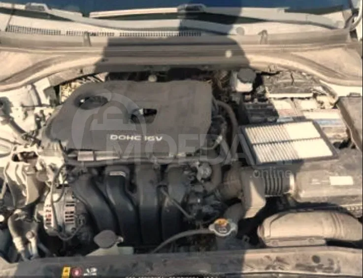 Hyundai Elantra 2017 Tbilisi - photo 10