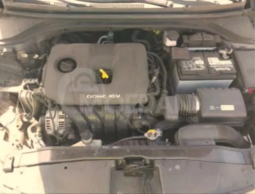 Hyundai Elantra 2018 Tbilisi - photo 9