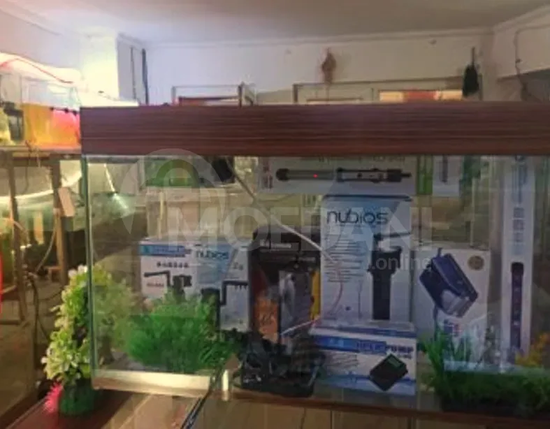 Აკვარიუმი თბილისი - photo 1