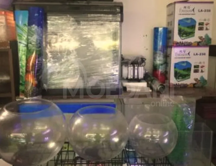 Აკვარიუმი თბილისი - photo 5