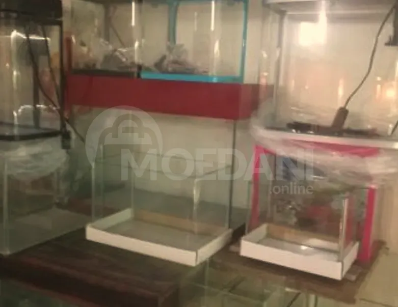 Აკვარიუმი თბილისი - photo 4