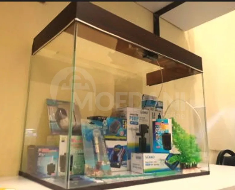 Aquarium with everything Tbilisi - photo 1