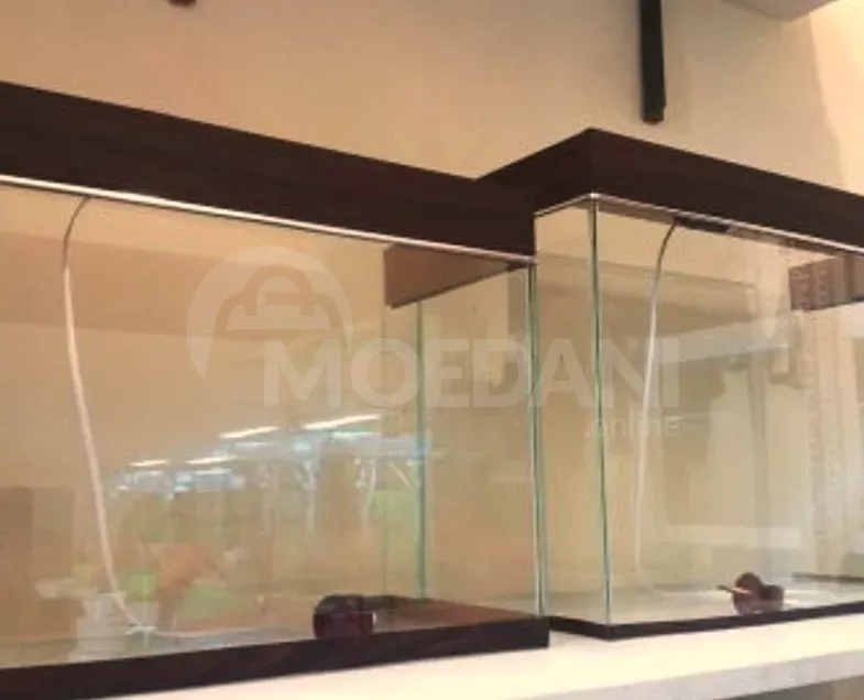 Aquarium with everything Tbilisi - photo 2