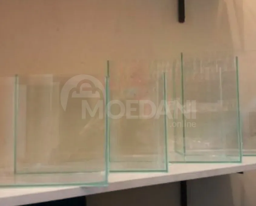 Aquarium with everything Tbilisi - photo 3