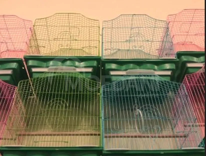 Аквариумы и аквариумы Тбилиси - изображение 2