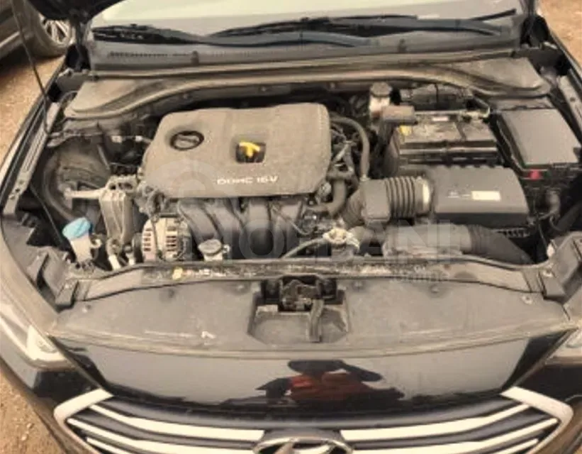 Hyundai Elantra 2018 Tbilisi - photo 10