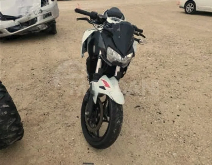 Kawasaki EX-4 er400 Tbilisi - photo 2