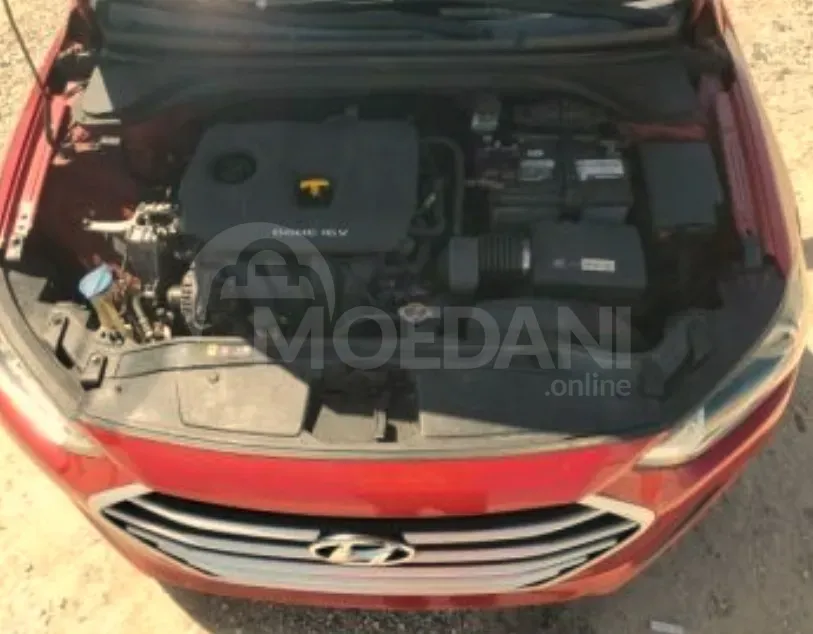 Hyundai Elantra 2017 Tbilisi - photo 11
