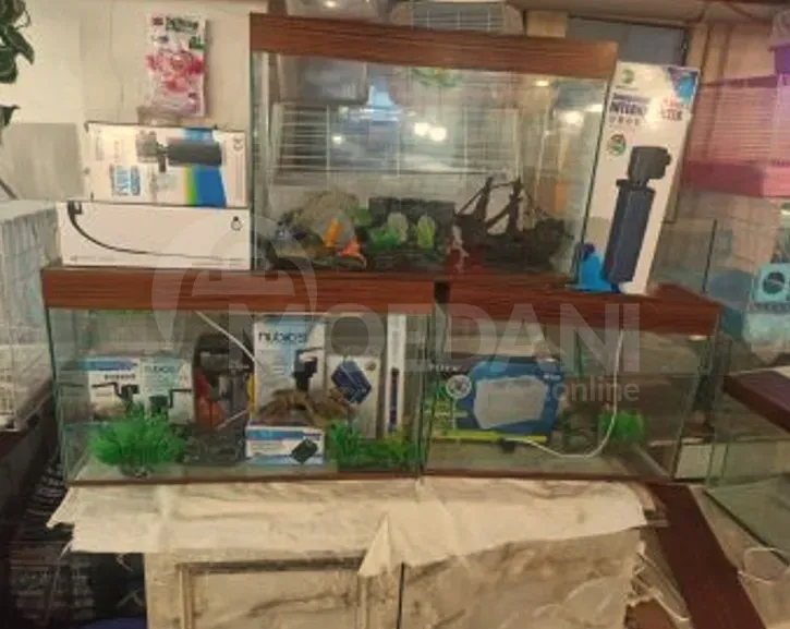 Action aquarium with all lighting, 30-40 liters. Tbilisi - photo 2