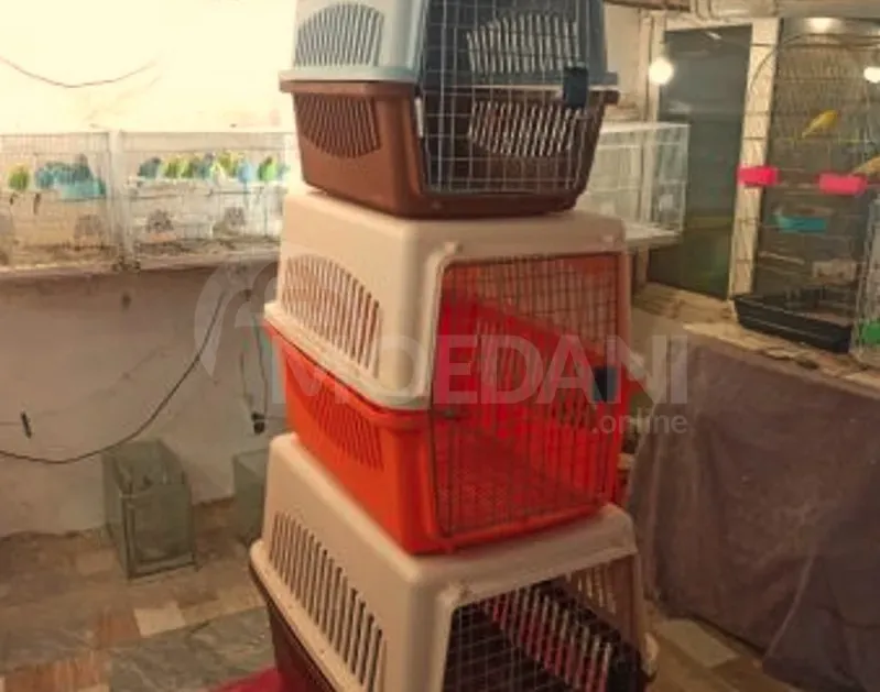 Გადასაყვანი ჩანთები და კონტეინერები N1 N2N3N4N5 ზომები თბილისი - photo 4