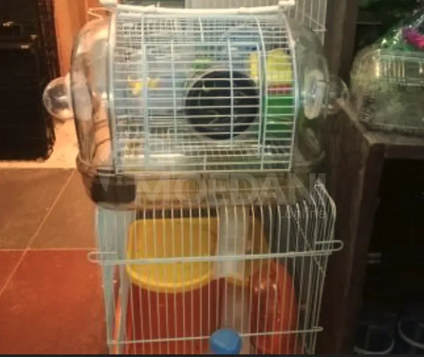 Ჯუჯა ზაზუნები თავისი გალიებით ღიაა24საათი თბილისი - photo 2