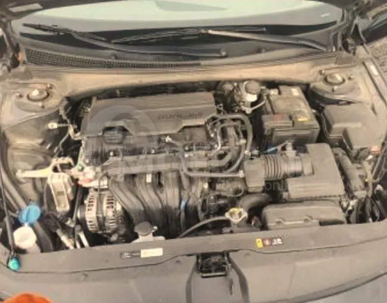 Hyundai Elantra 2023 Tbilisi - photo 11