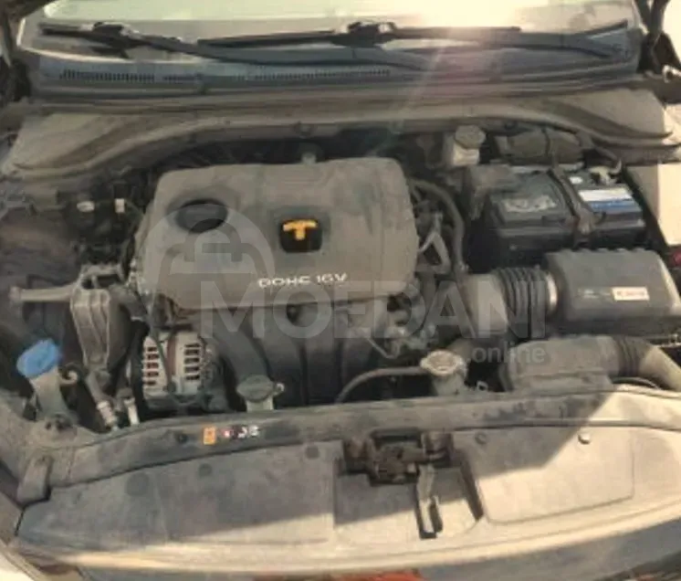 Hyundai Elantra 2017 Tbilisi - photo 10