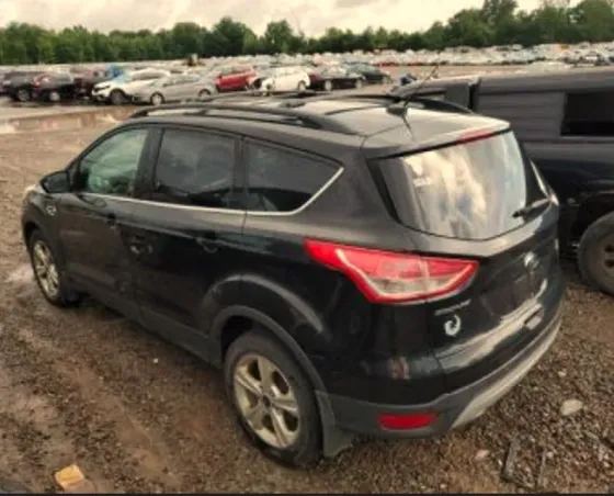 Ford Escape 2014 Тбилиси