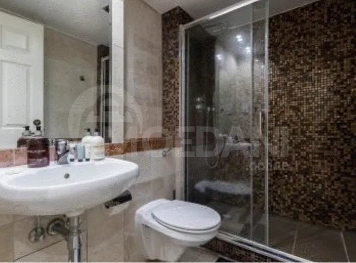 Apartments For Rent five-room 190м² 4/12 floor Tbilisi - photo 4