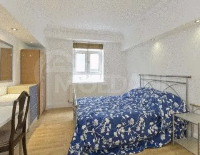Apartments For Rent five-room 256м² 4/12 floor Tbilisi - photo 9
