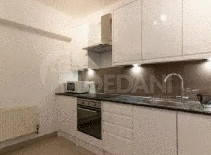 Apartments For Rent five-room 256м² 4/12 floor Tbilisi - photo 8