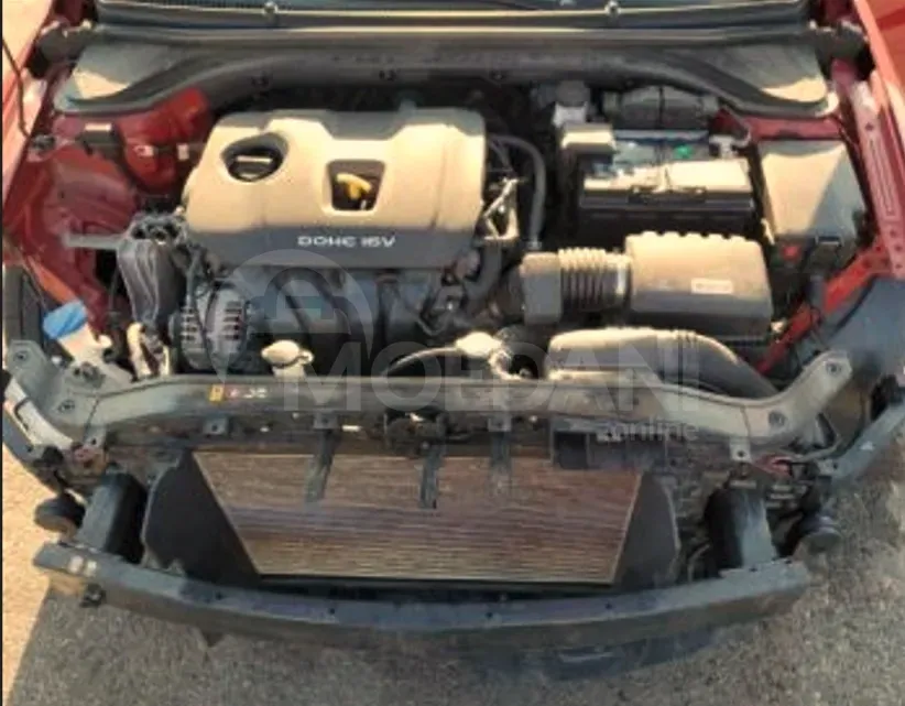 Hyundai Elantra 2018 Tbilisi - photo 9