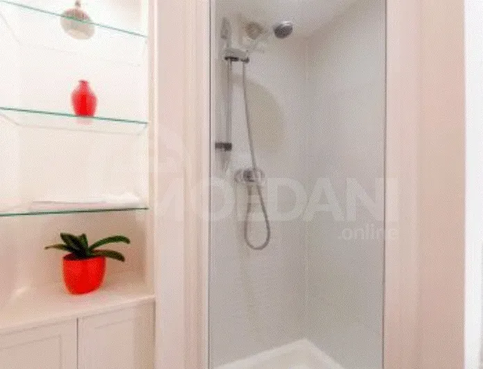 Apartments For Rent four-room 168м² 3/6 floor Tbilisi - photo 9