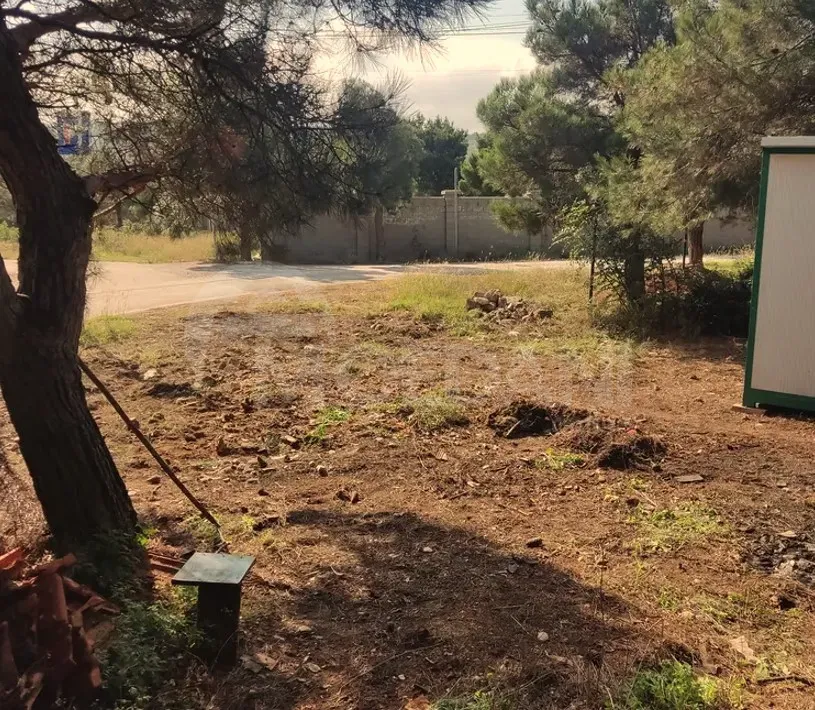 Იყიდება მიწის ნაკვეთი 0м² თბილისი - photo 5