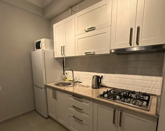 Apartments For Rent two-room 52м² 2/7 floor Tbilisi