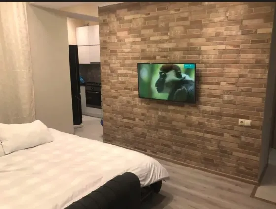 Apartments For Rent two-room 60м² 12/15 floor Tbilisi