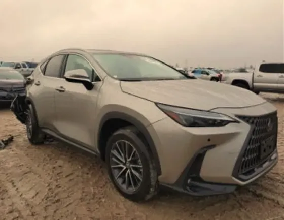 Lexus NX 2024 თბილისი