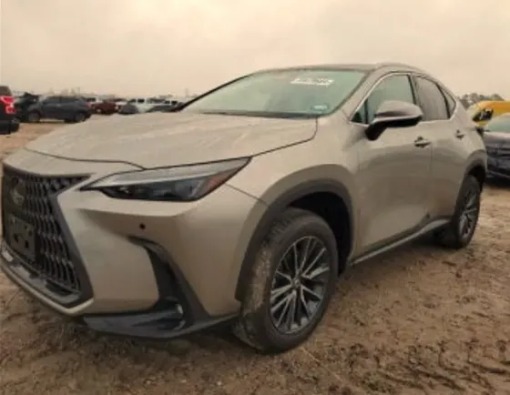 Lexus NX 2024 თბილისი