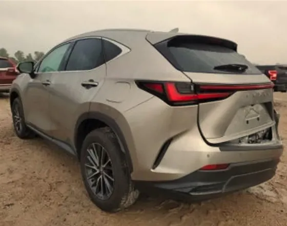 Lexus NX 2024 თბილისი