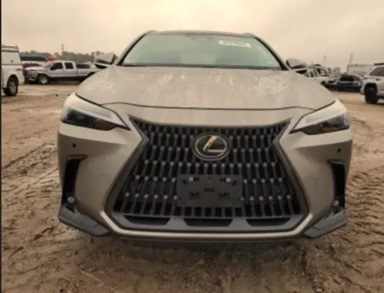 Lexus NX 2024 თბილისი