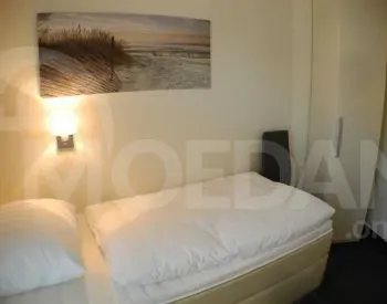 Apartments For Rent six-room 480м² 6/12 floor Tbilisi - photo 7