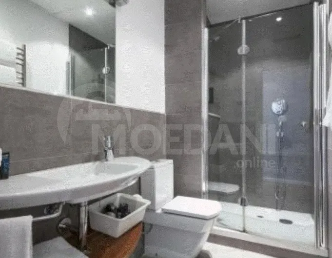 Apartments For Rent three-room 160м² 7/11 floor Tbilisi - photo 3