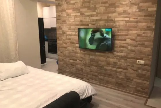 Apartments For Rent two-room 60м² 12/15 floor Tbilisi