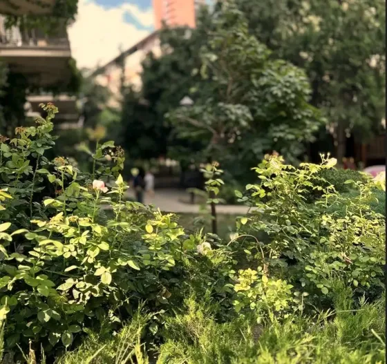 ქირავდება 2 ოთახიანი ბინა 46მ² 2/6 სართ თბილისი