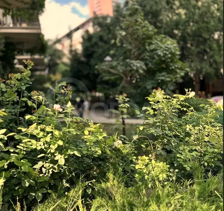 Сдам 2-комн. квартиру 46м² 2/6 эт. Тбилиси - изображение 1