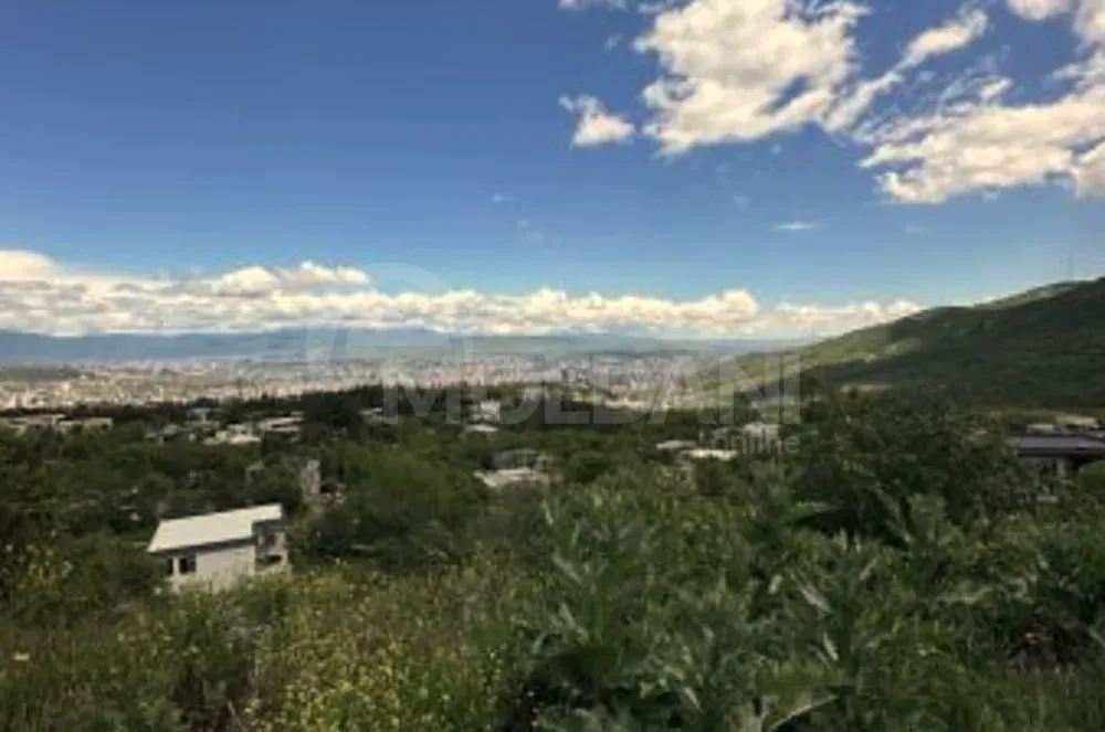 Продам земельный участок 600м² Тбилиси - изображение 5