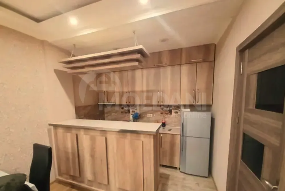 Apartments For Rent two-room 50м² 7/20 floor Tbilisi - photo 8