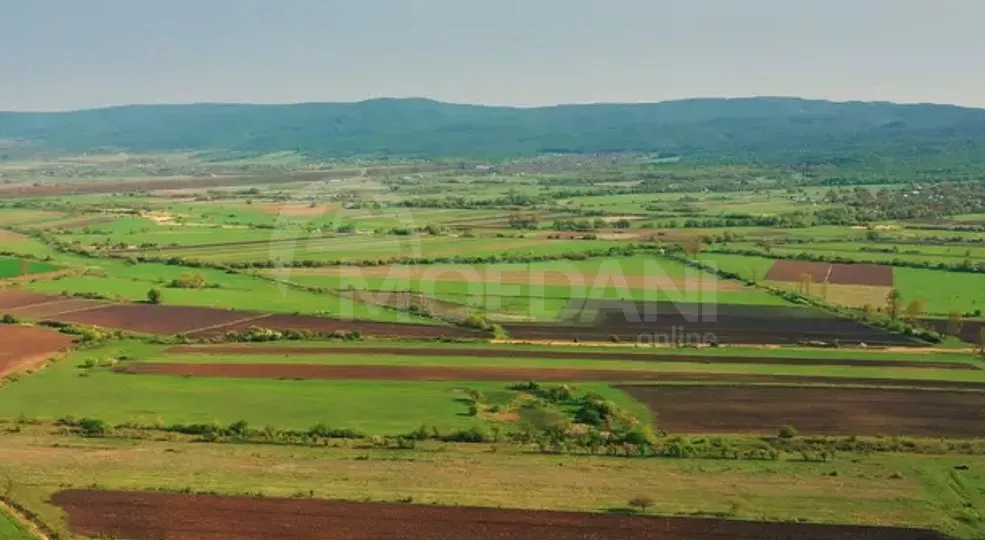 Продам земельный участок 23000м² Mckheta - photo 3