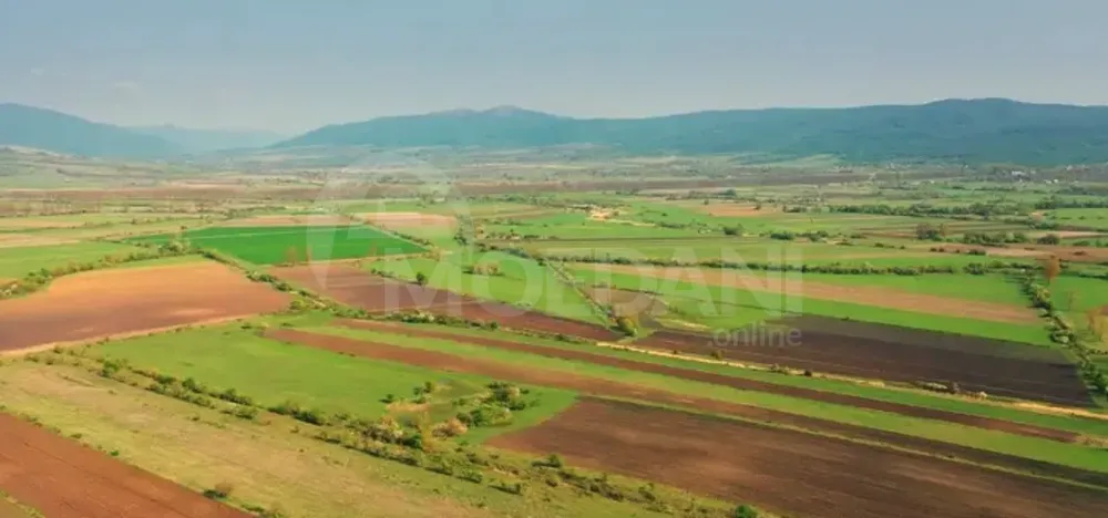 Продам земельный участок 23000м² Mckheta - photo 1