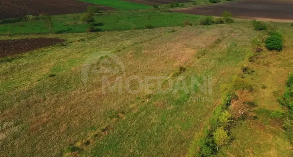 Продам земельный участок 23000м² Mckheta - photo 5