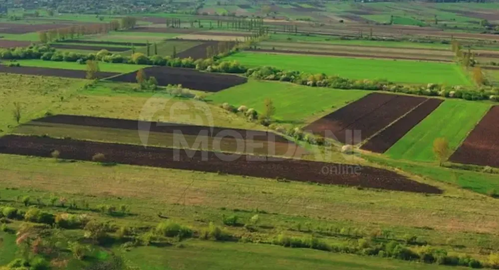 Продам земельный участок 23000м² Mckheta - photo 2