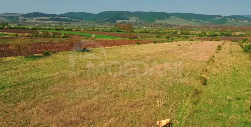 Продам земельный участок 23000м² Mckheta - photo 4