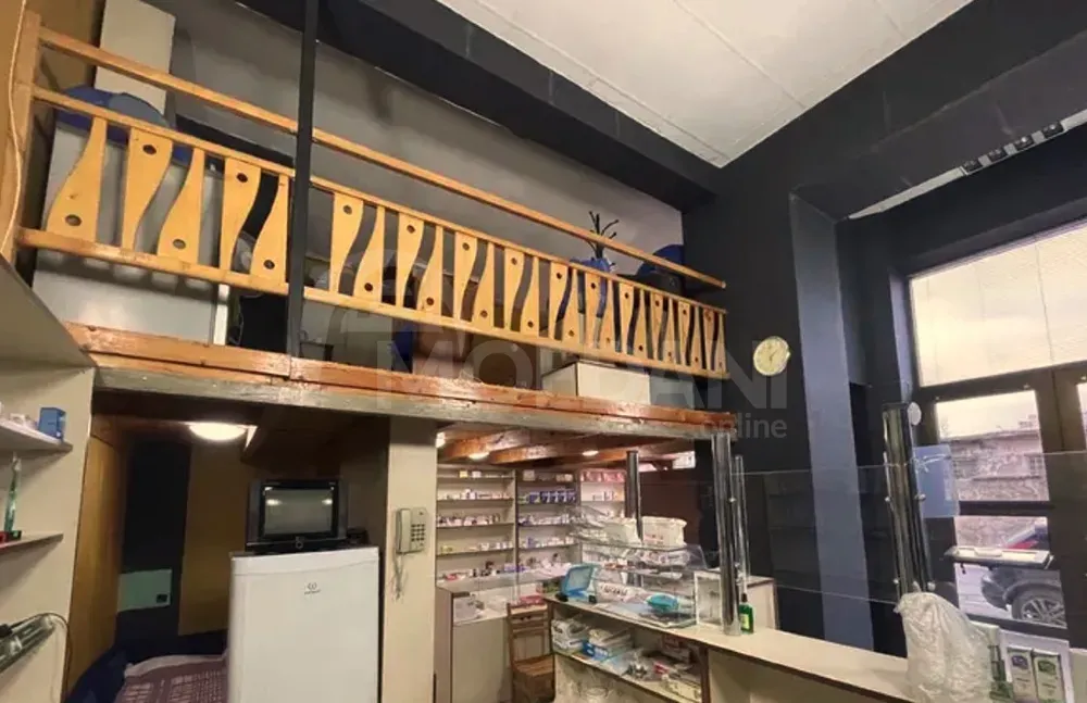 Сдается универсальное коммерческое помещение в Дидубе Тбилиси - изображение 2