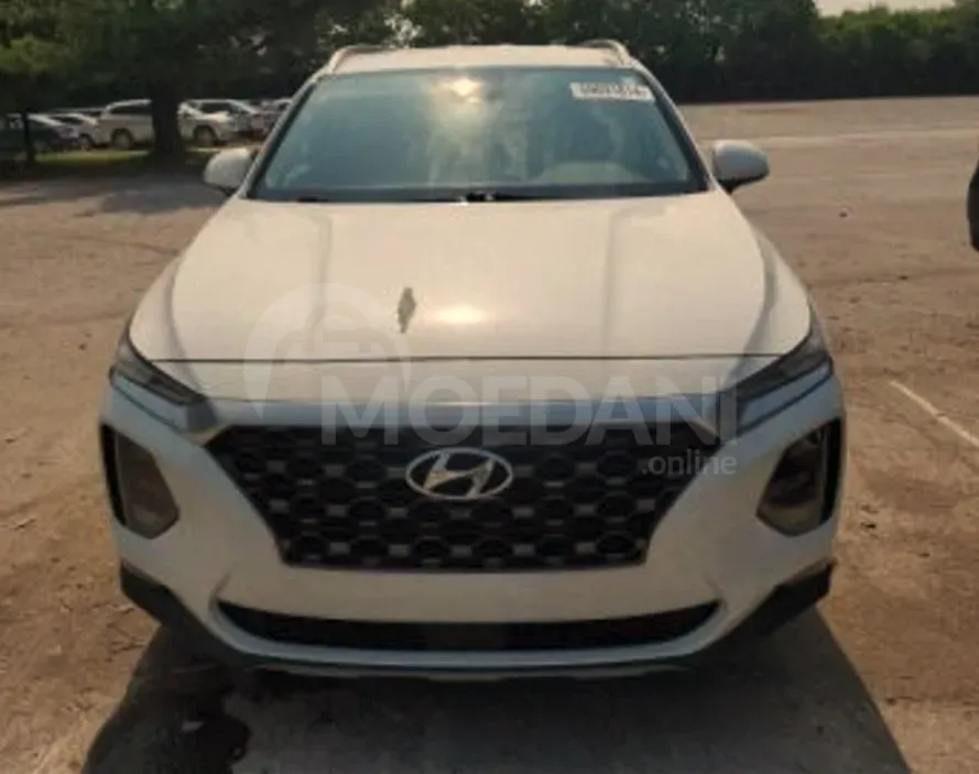 Hyundai Santa Fe 2019 თბილისი - photo 5
